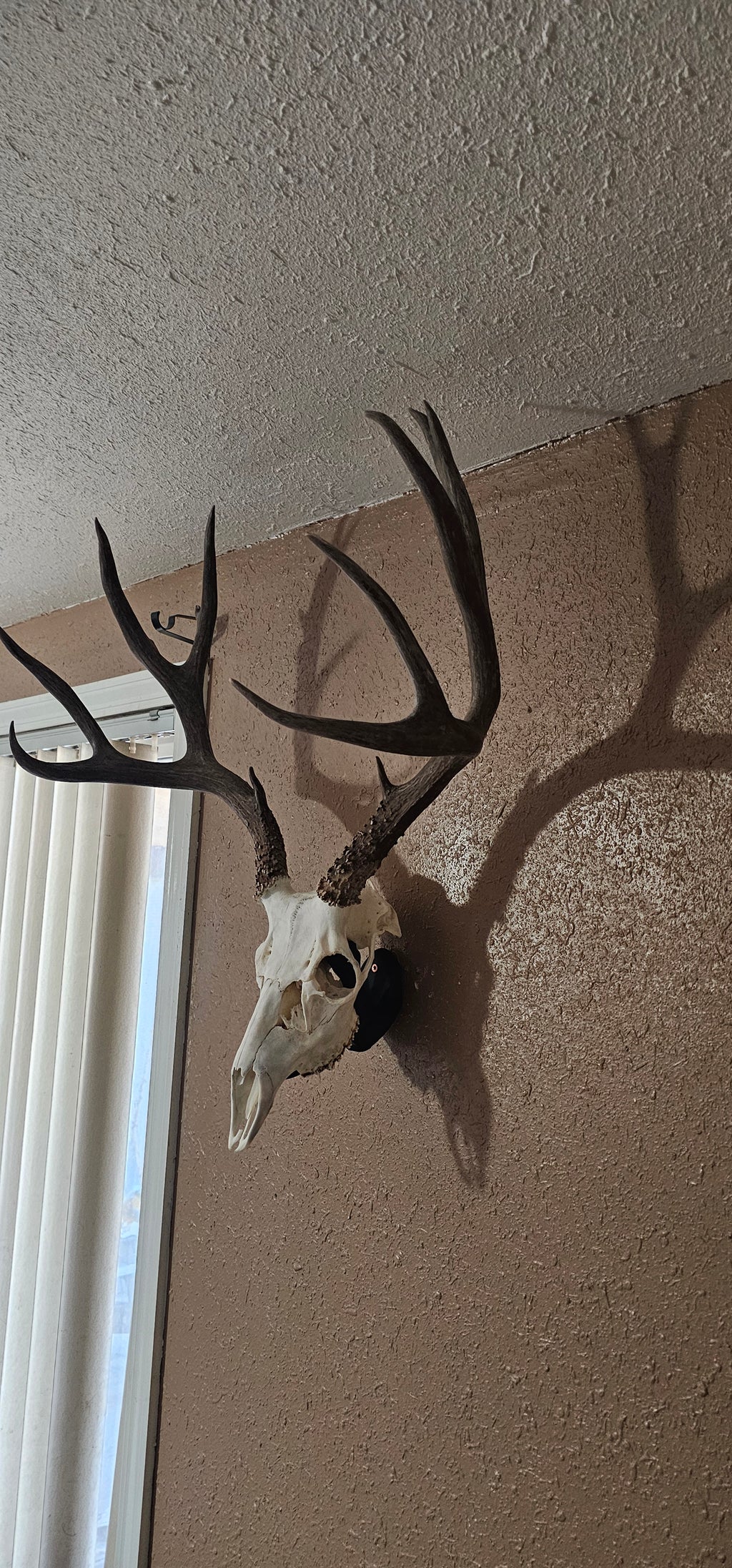 Custom Euro Mini Mount STL File Joshua