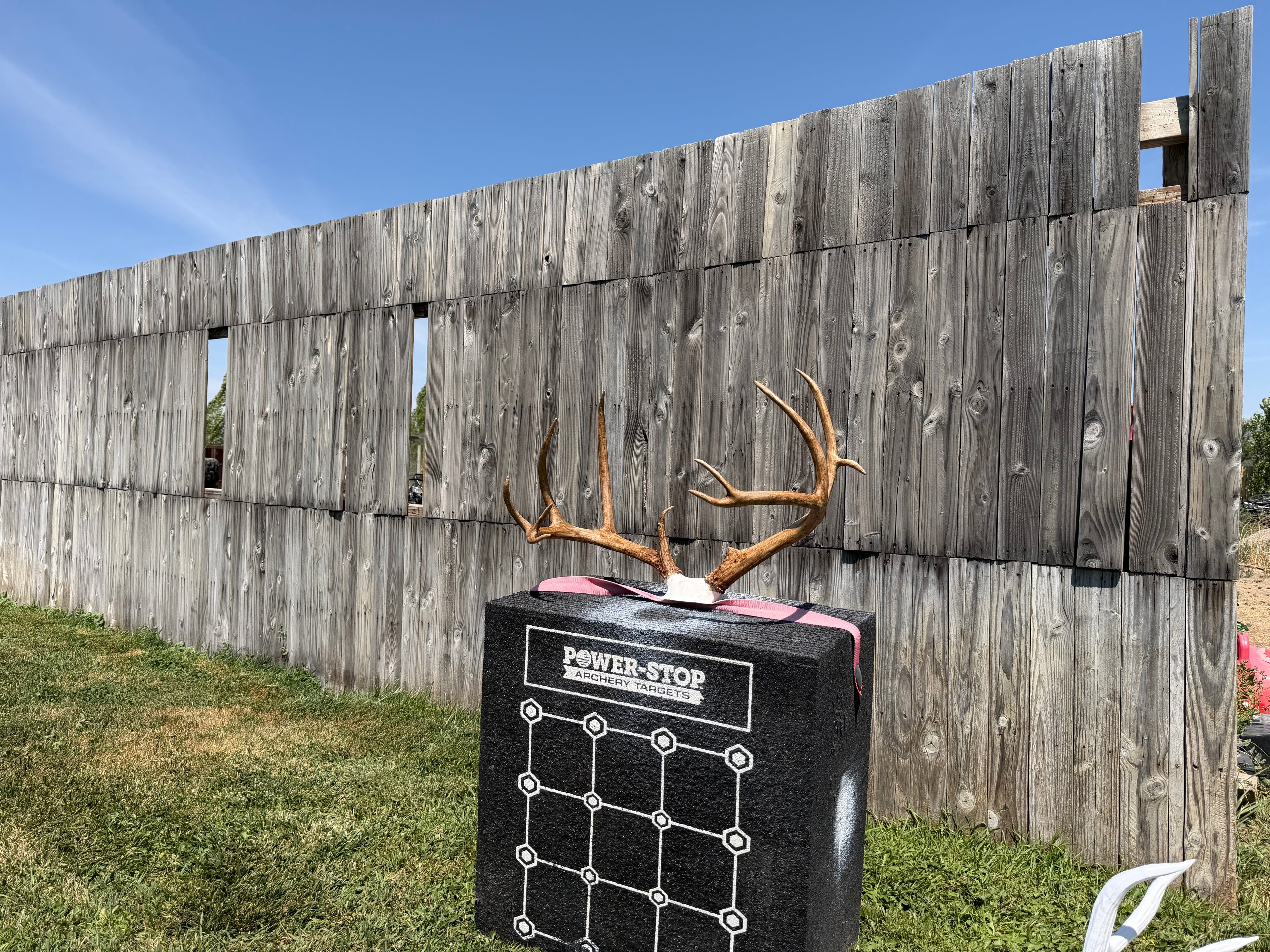 Down payment for a Custom Deer Life Sized Euro Mount or Skull Cap