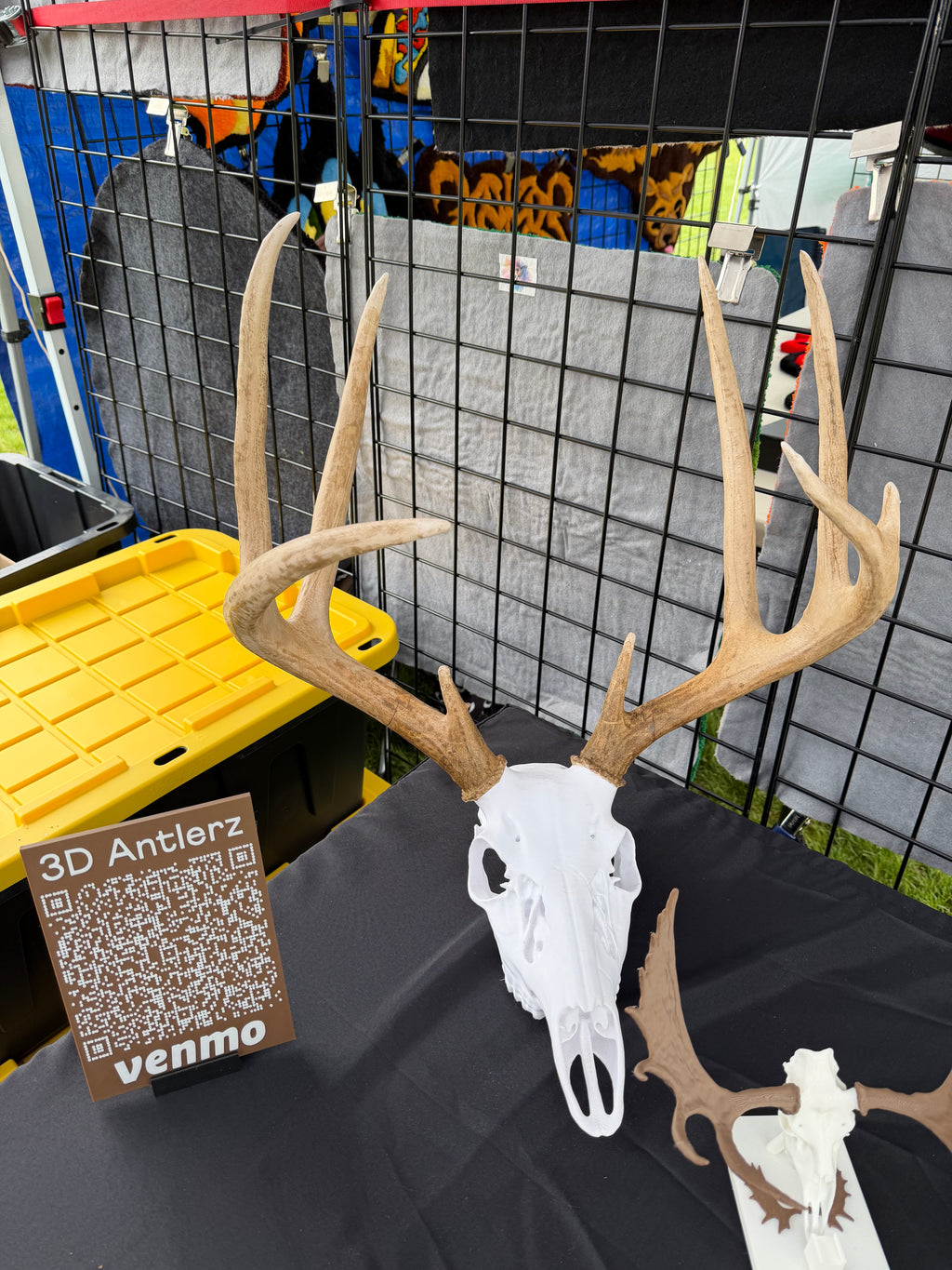 Custom Deer Life Sized Euro Mount
