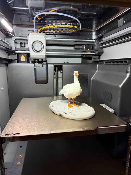 6” Snow Goose Custom