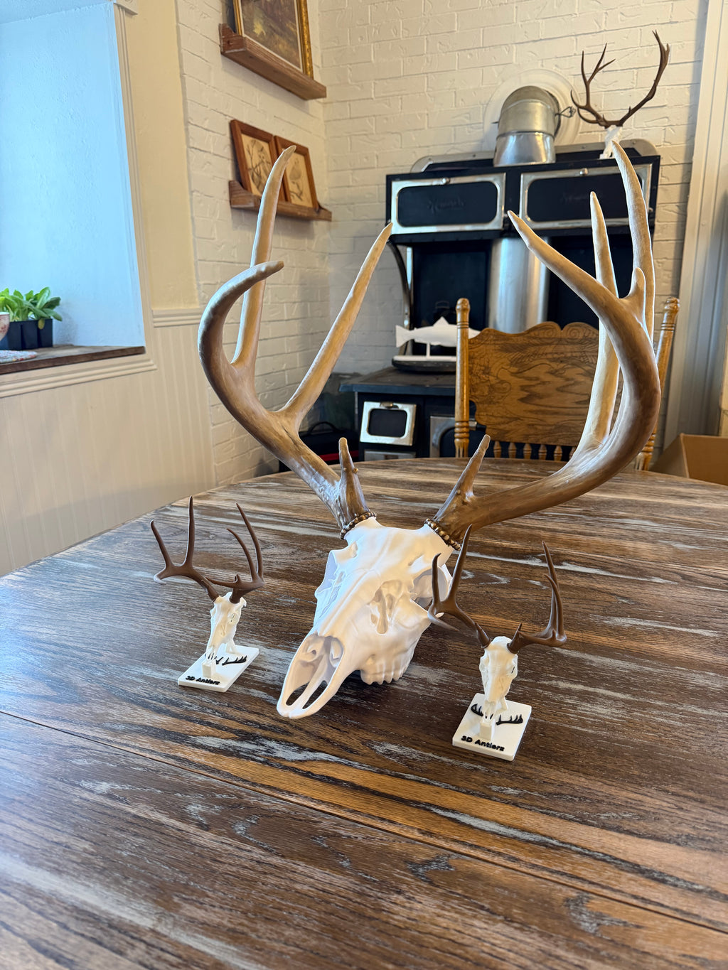 Custom Deer Life Sized Euro Mount