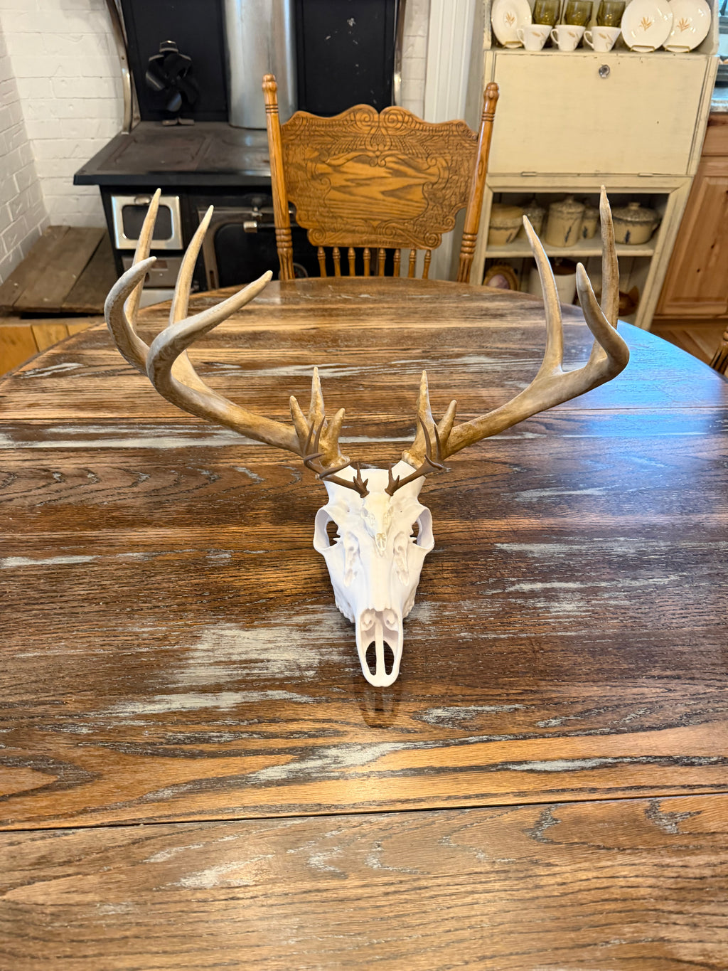 Down payment for a Custom Deer Life Sized Euro Mount