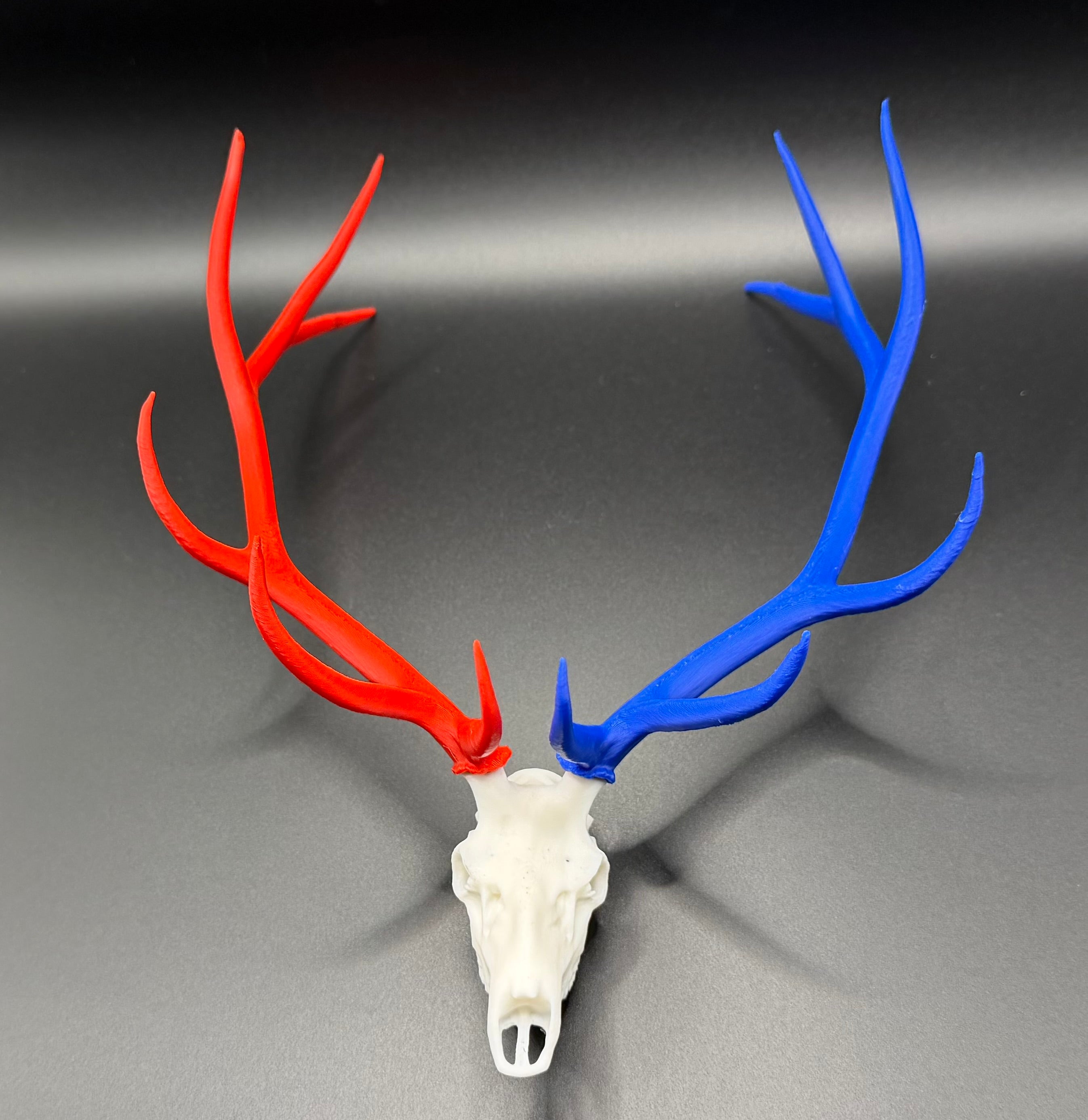 Euro Elk Mount 'Merica Edition