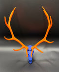 Elk Euro Mount Orange Crush Edition