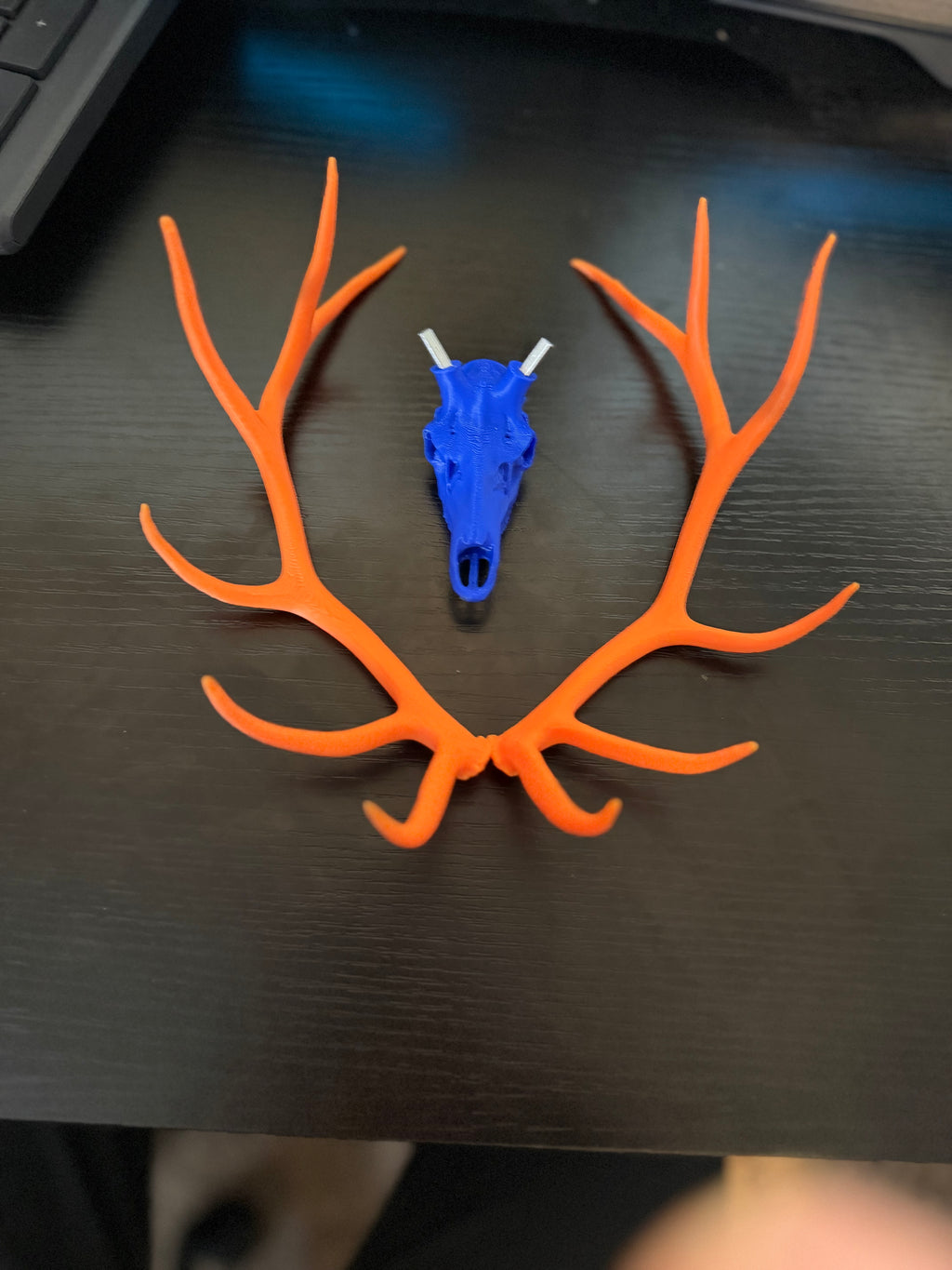 Elk Euro Mount Orange Crush Edition