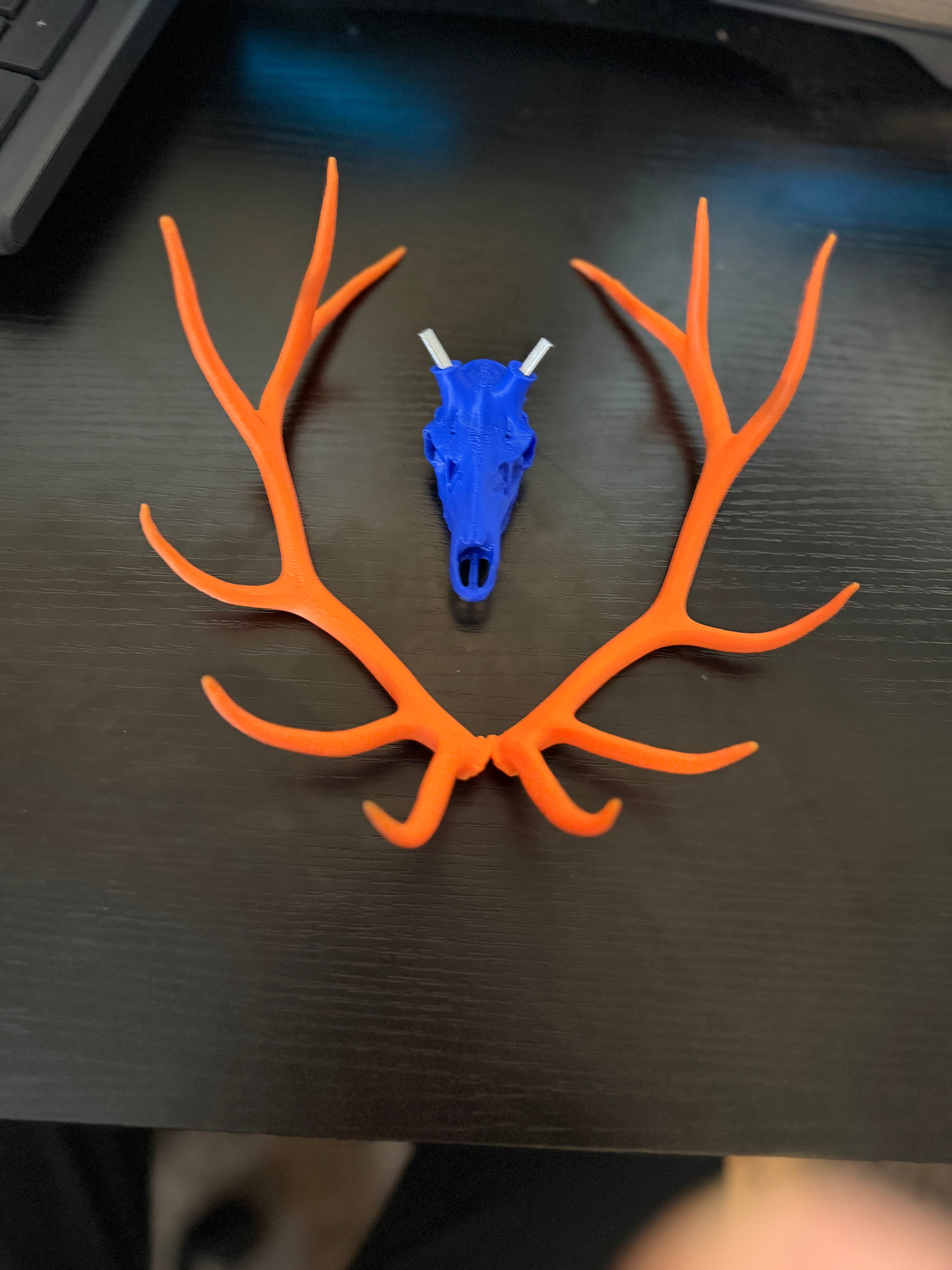 Elk Euro Mount Orange Crush Edition