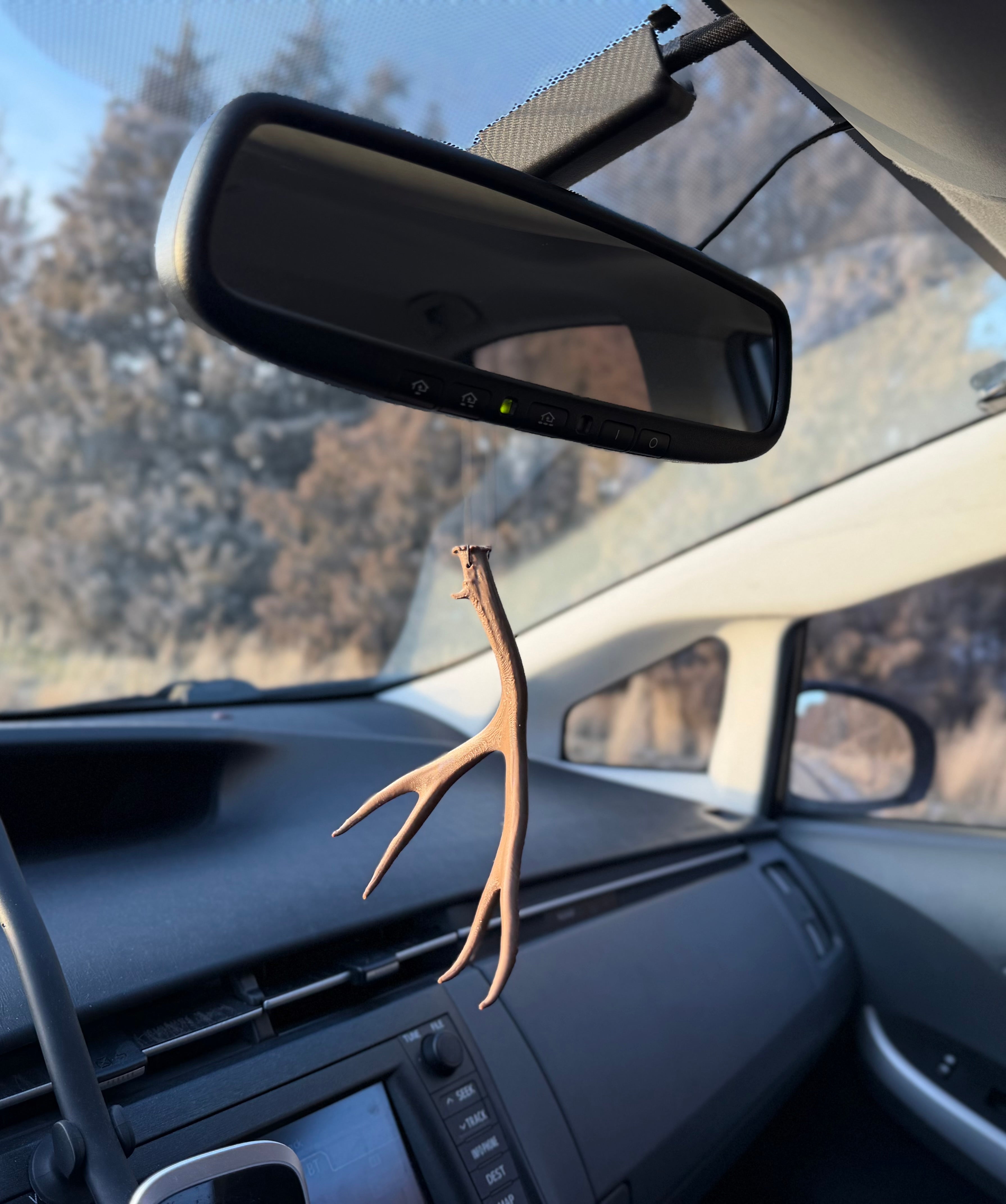 Mule Deer Antler Hanger