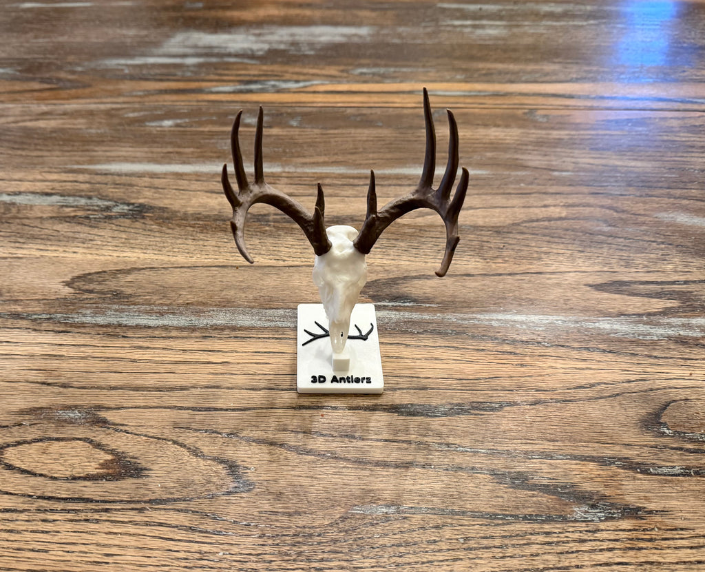 White-Tailed Deer Mini Mount w/Stand