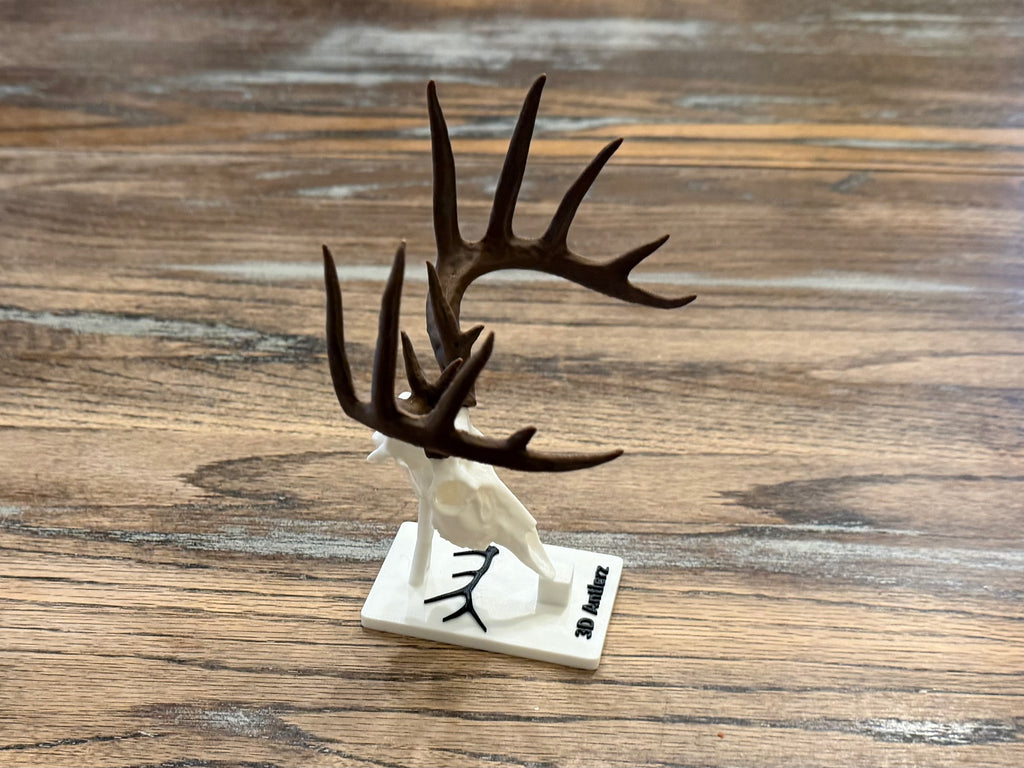 White-Tailed Deer Mini Mount w/Stand