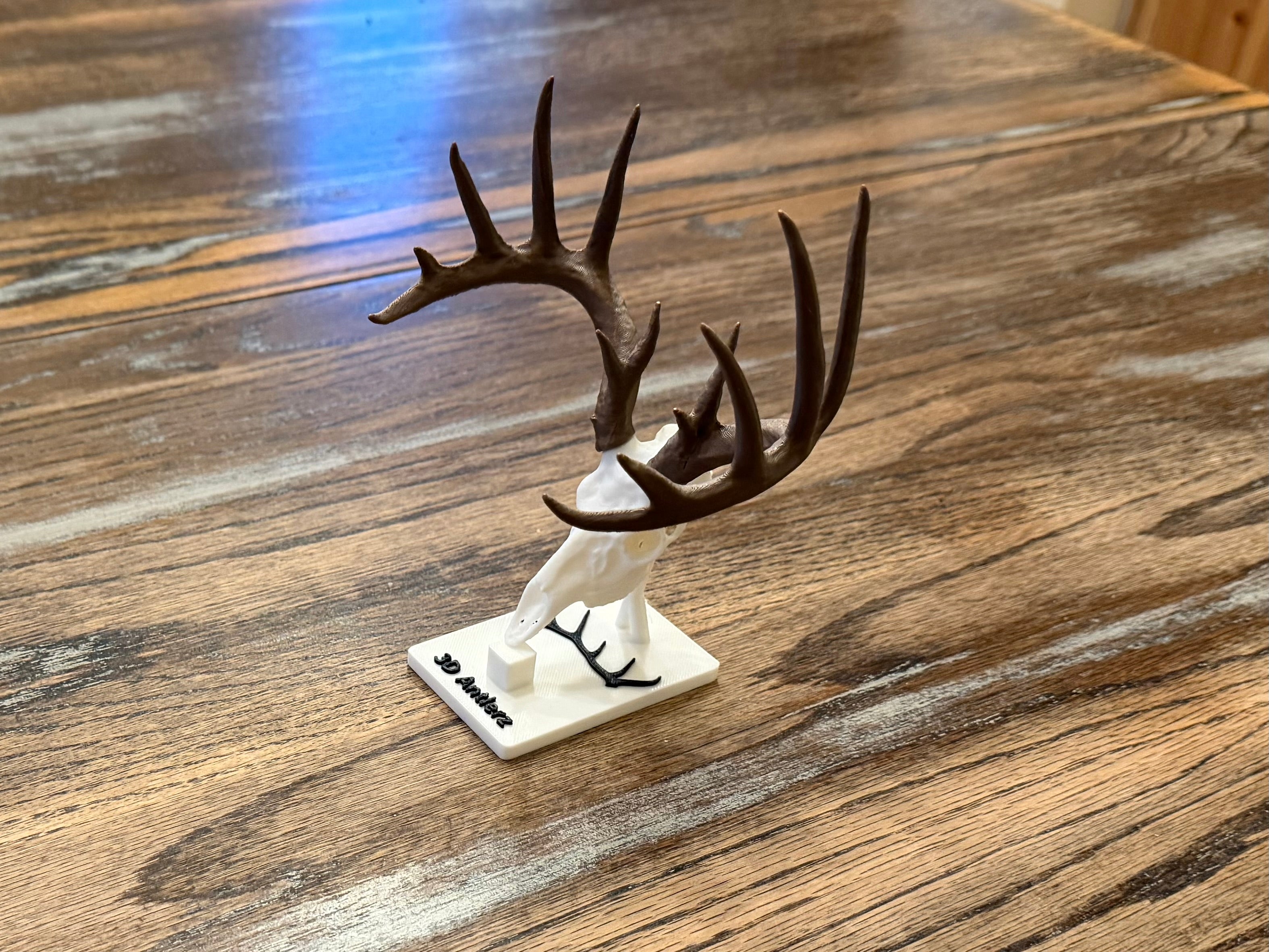 Custom Euro Mini Mount