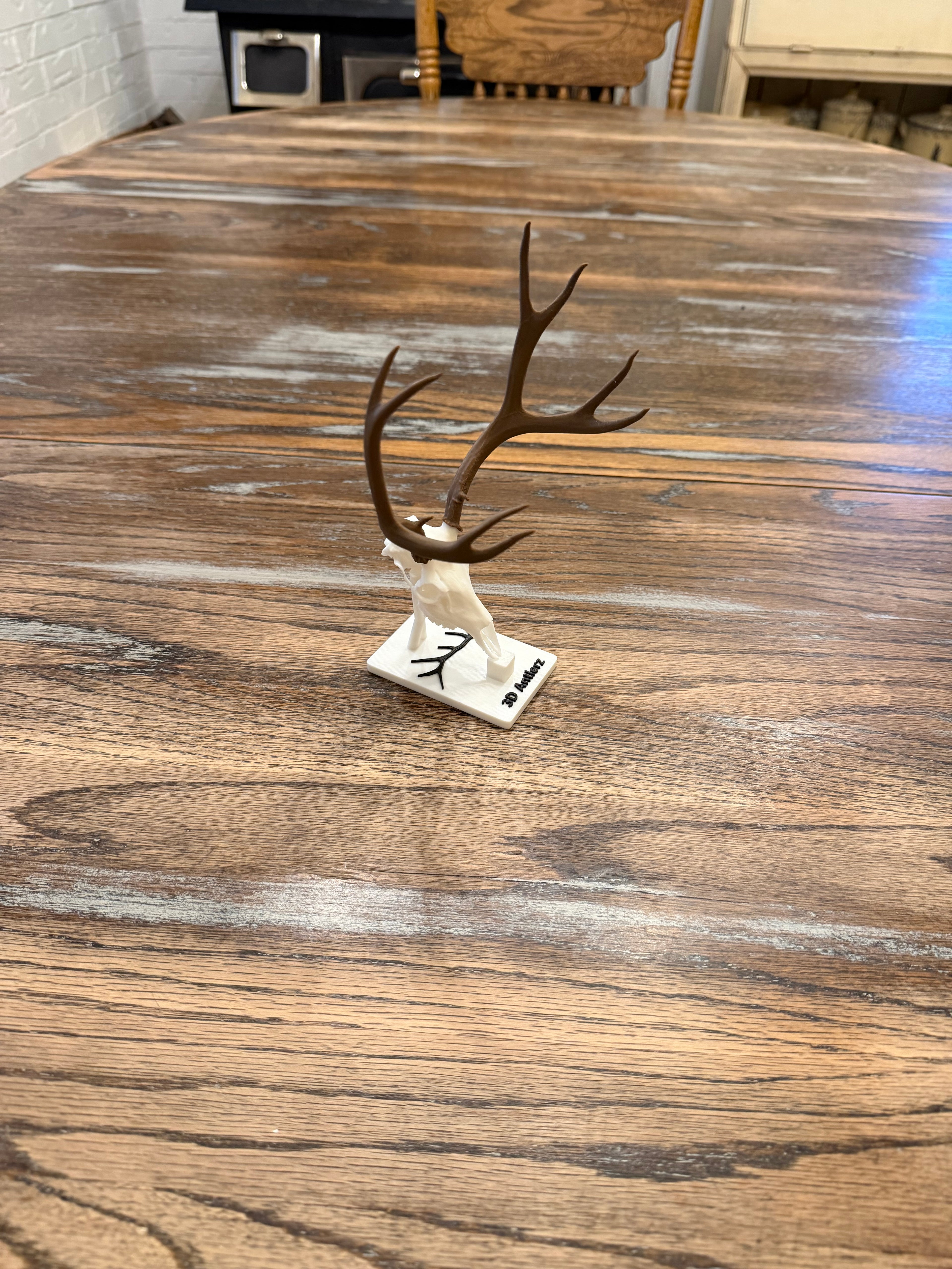Mule Deer Mini Mount w/Stand
