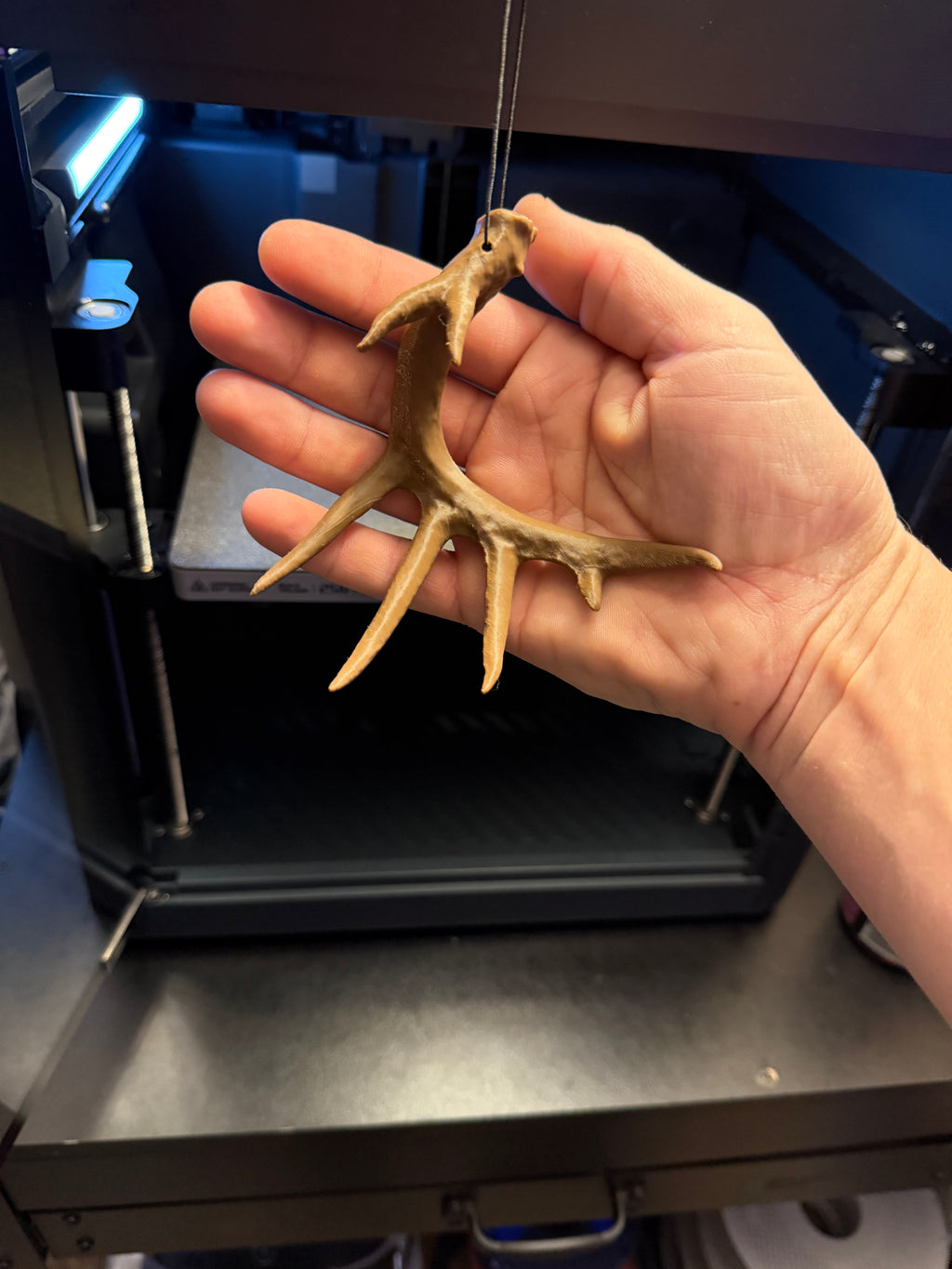 White-Tailed Antler Hanger