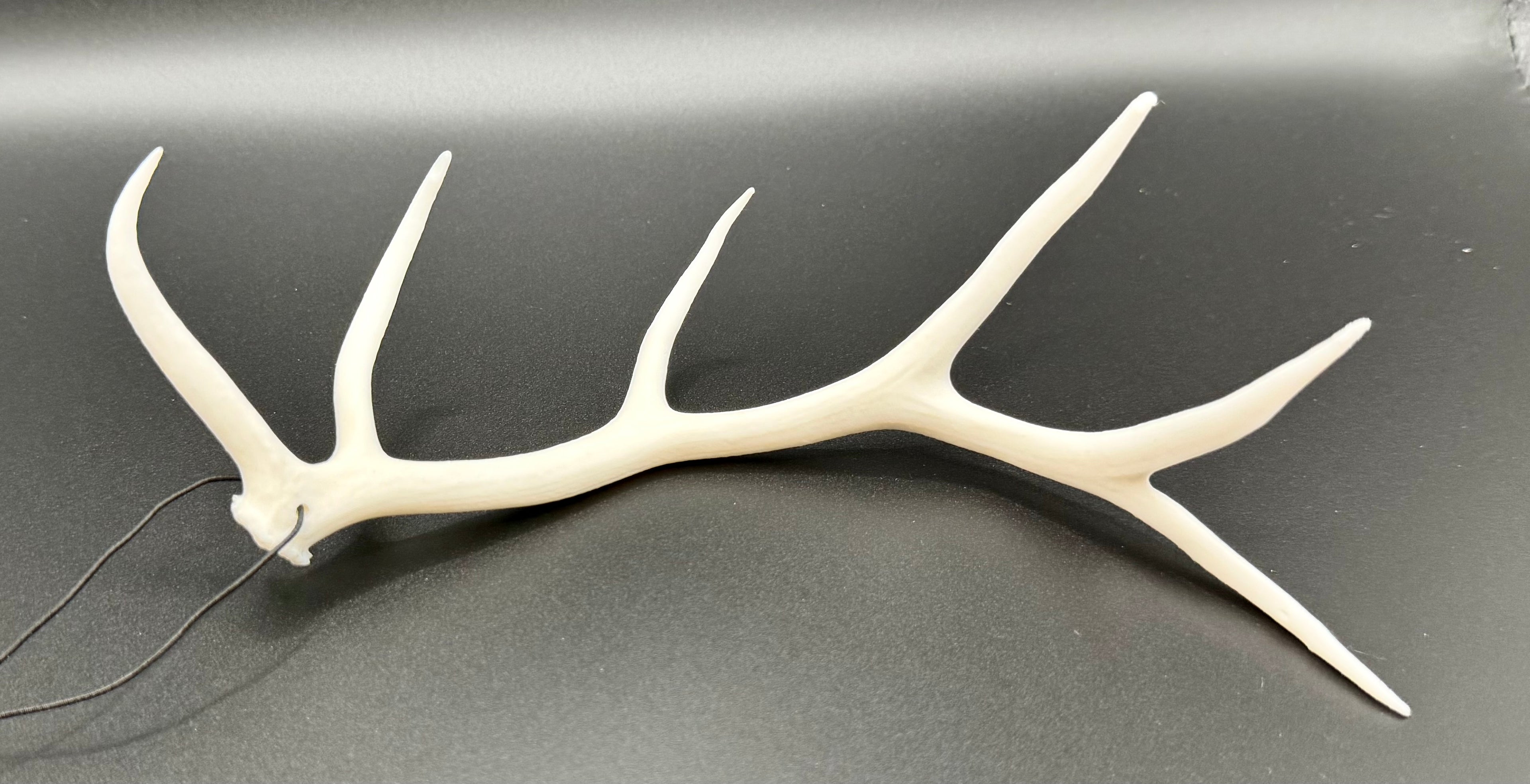 Hanging Elk Antler