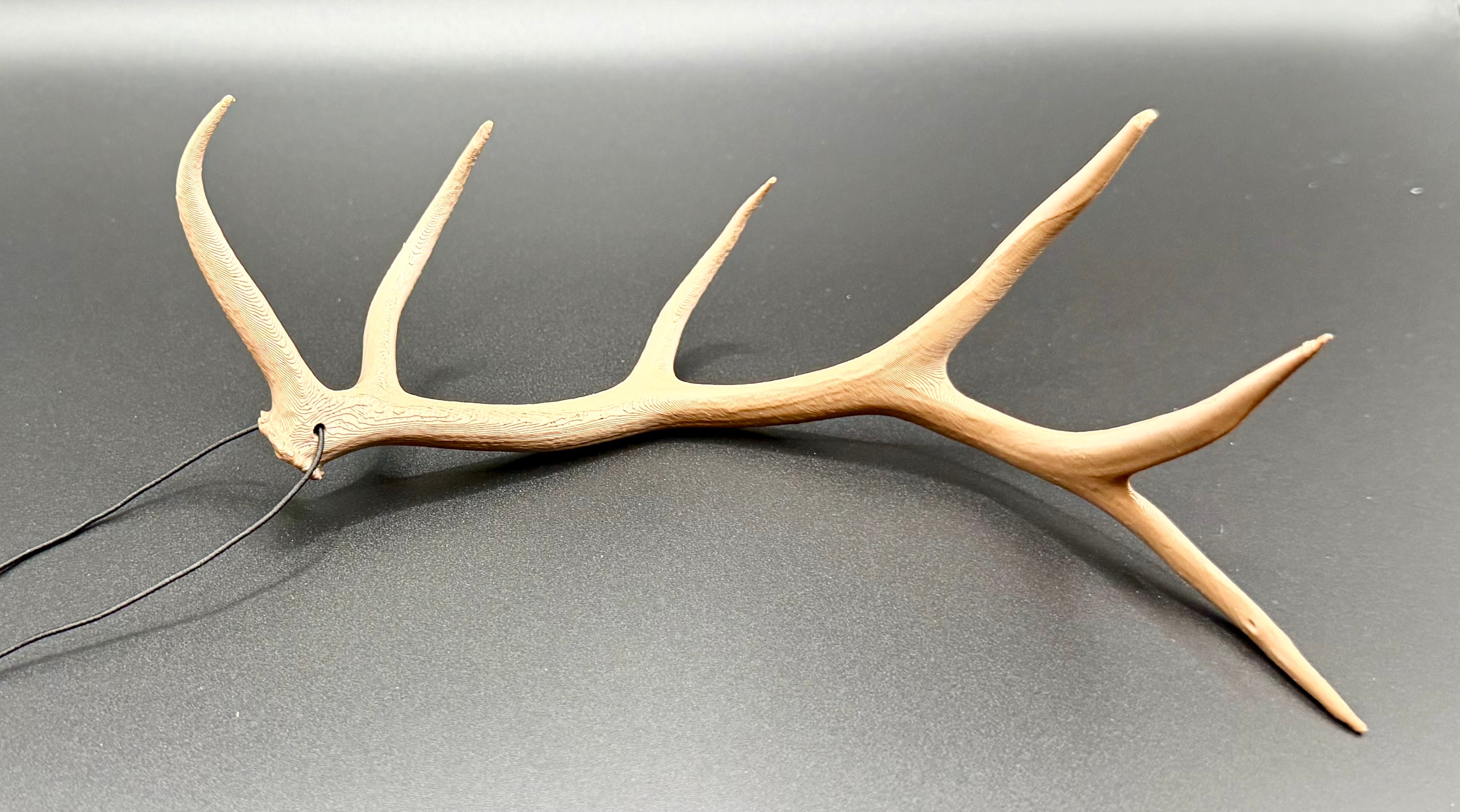 Hanging Elk Antler