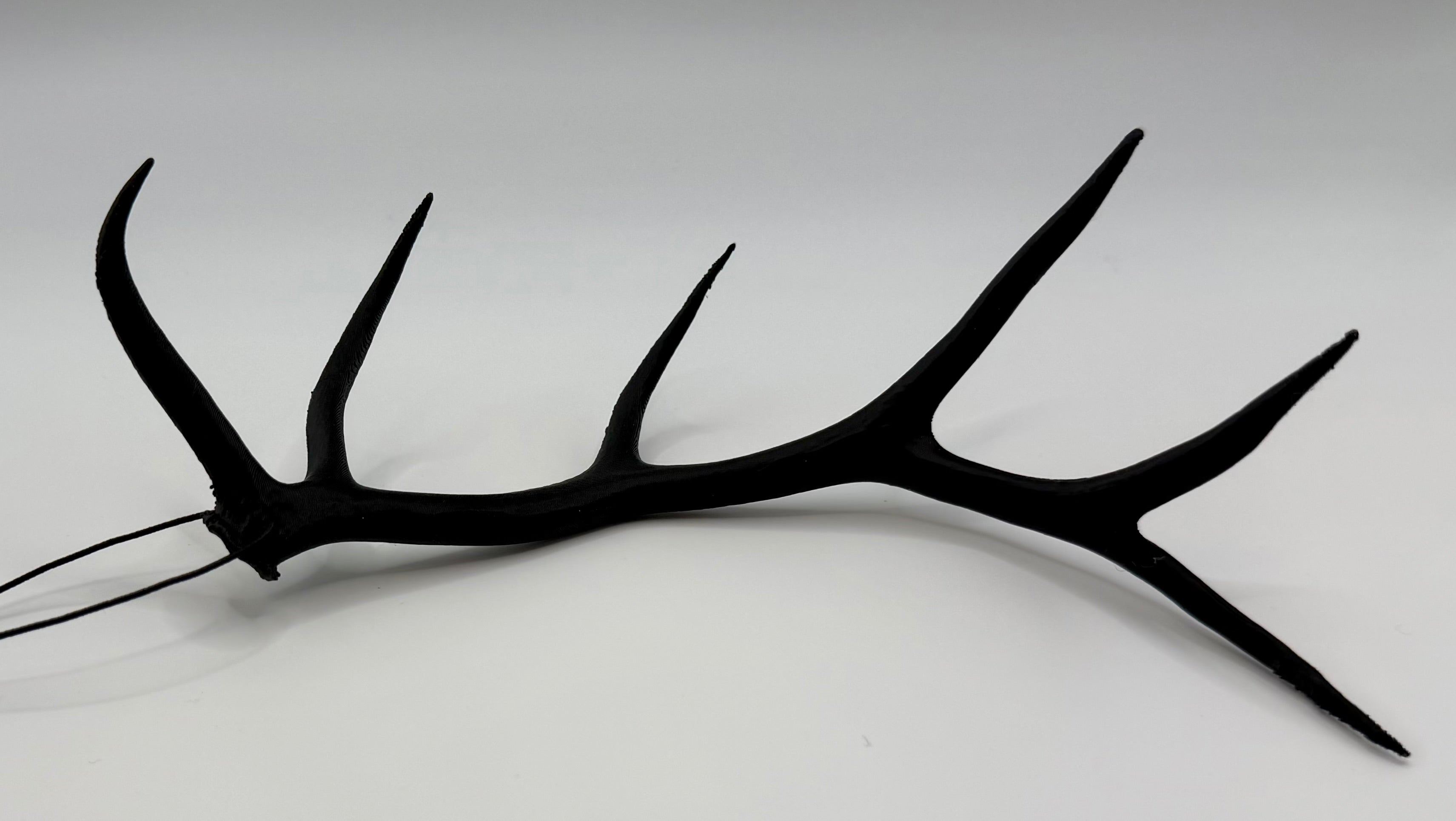 Hanging Elk Antler