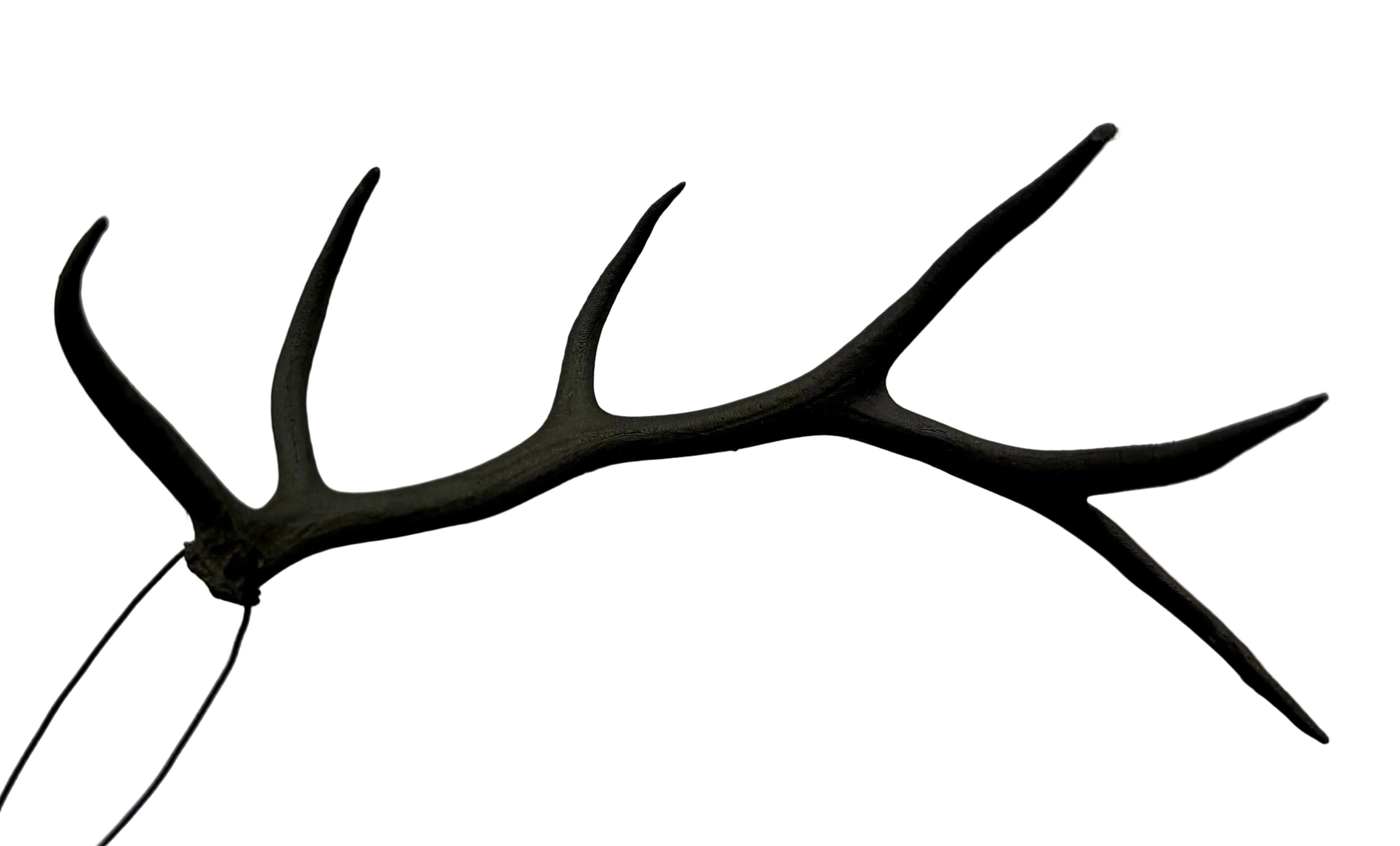 Hanging Elk Antler