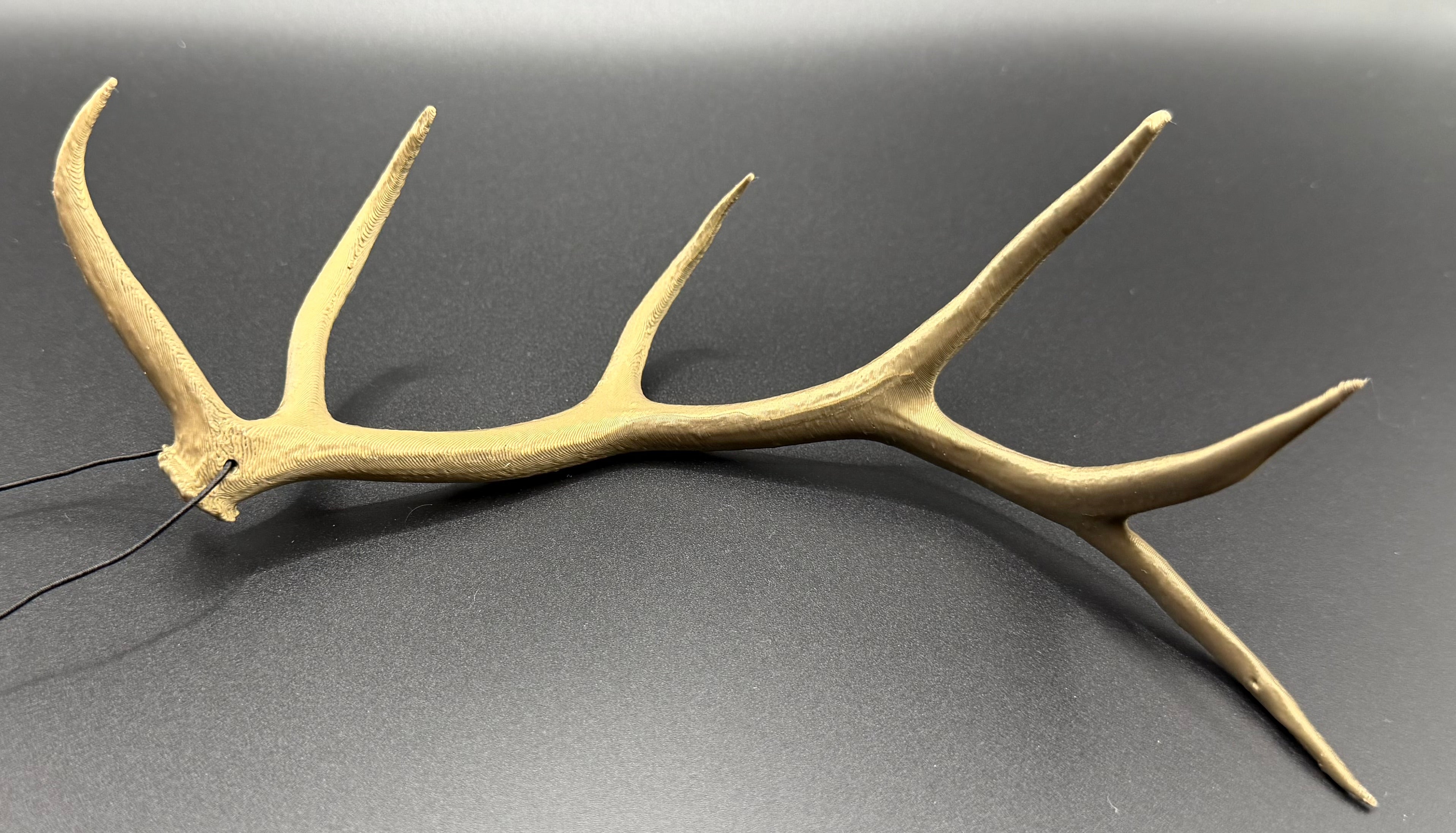 Hanging Elk Antler