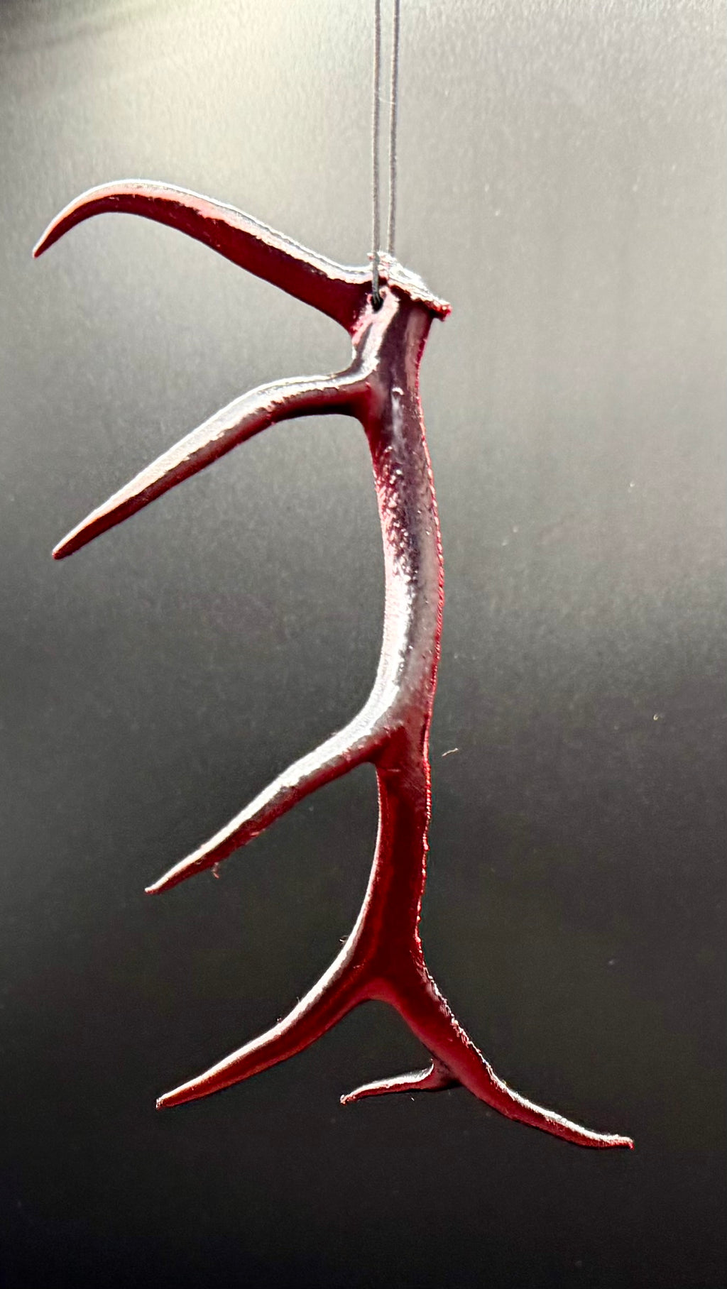 Hanging Elk Antler