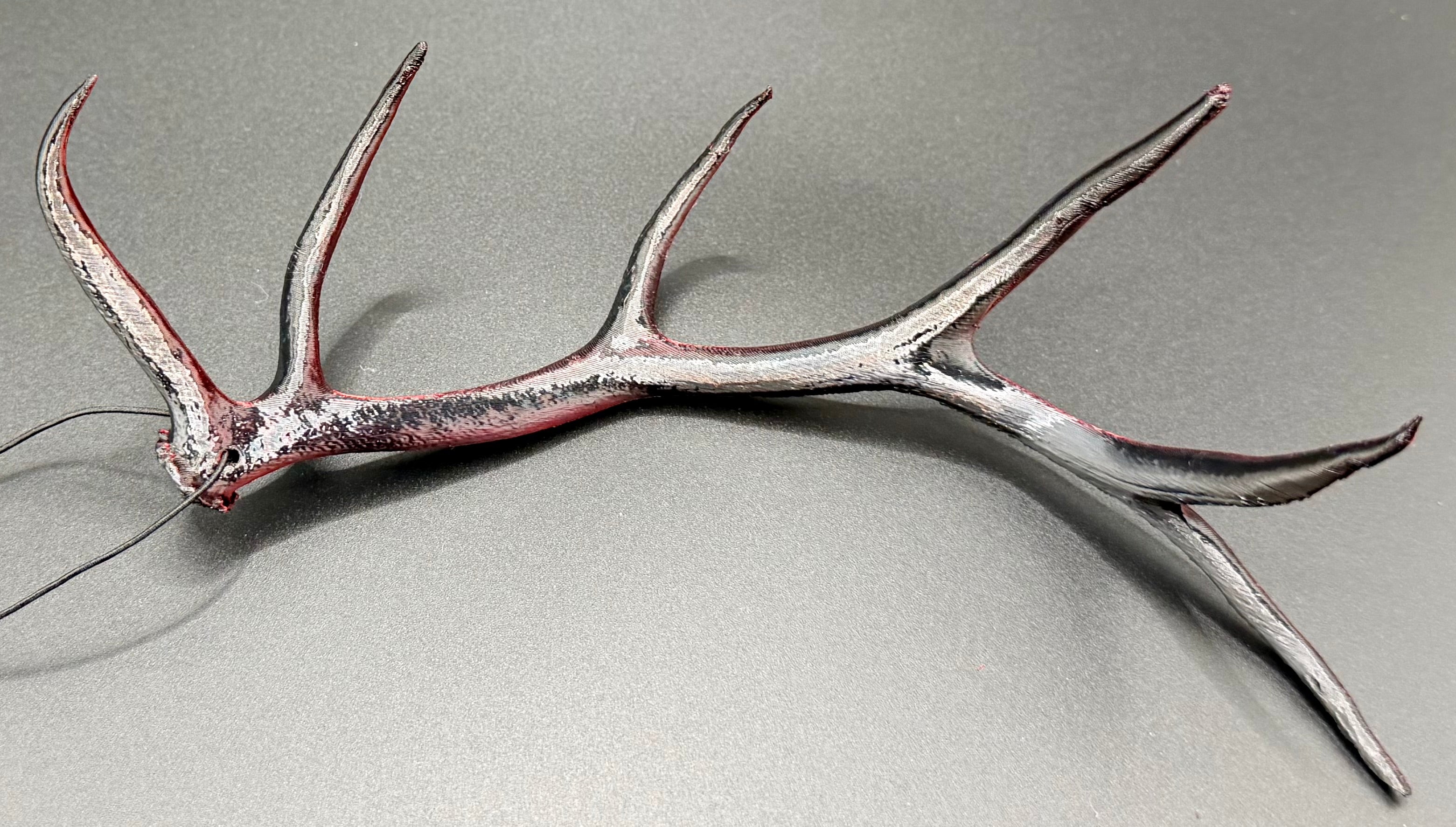 Hanging Elk Antler