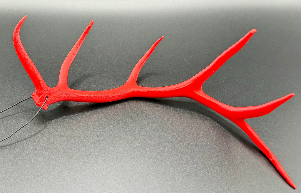Hanging Elk Antler
