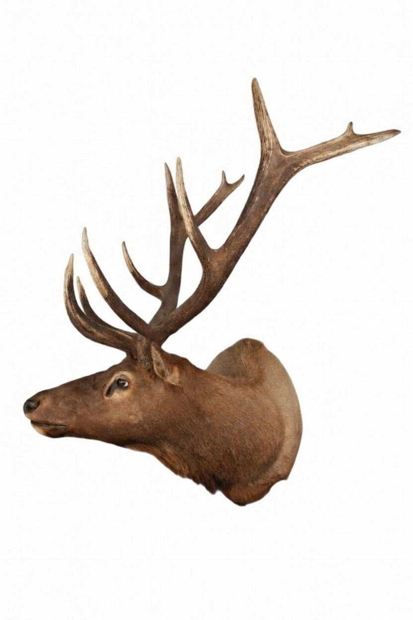 Custom Shoulder Mini Mount Painted