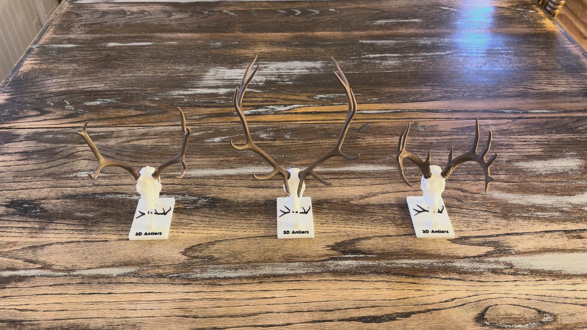 Custom Euro Mini Mount